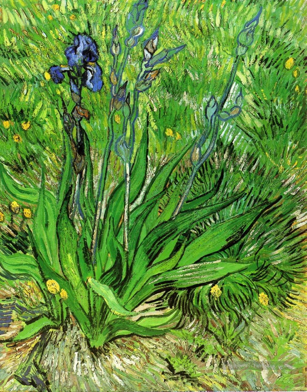 L’Iris Vincent van Gogh Peintures à l'huile